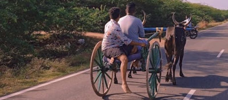 free-photo-of-people-riding-a-cart-on-a-road free-photo-of-people-riding-a-cart-on-a-road